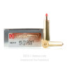 Click To Purchase This 45-70 Govt Hornady Ammunition