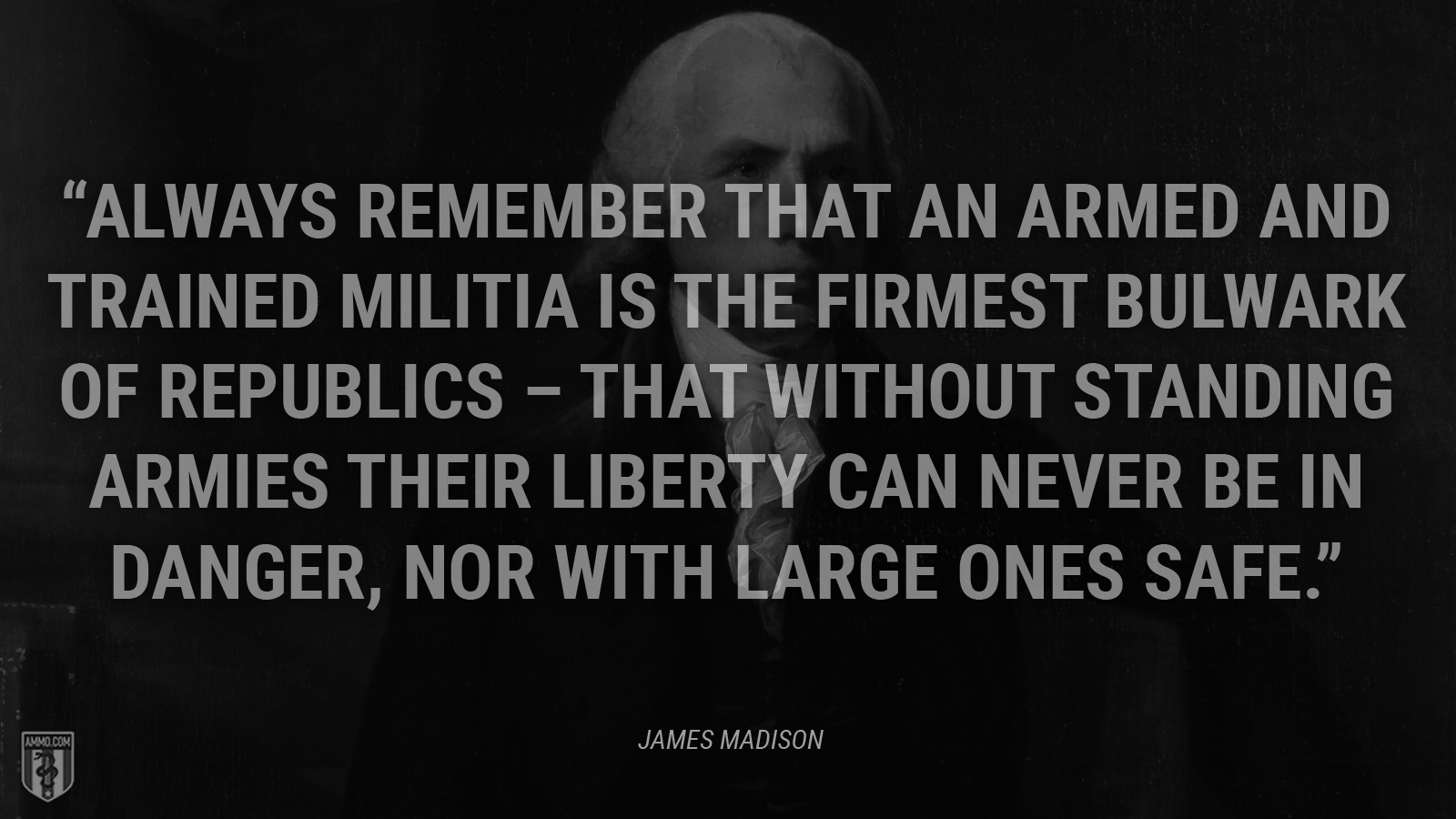 “Always remember that an armed and trained militia is the firmest bulwark of republics – that without standing armies their liberty can never be in danger, nor with large ones safe.” - James Madison