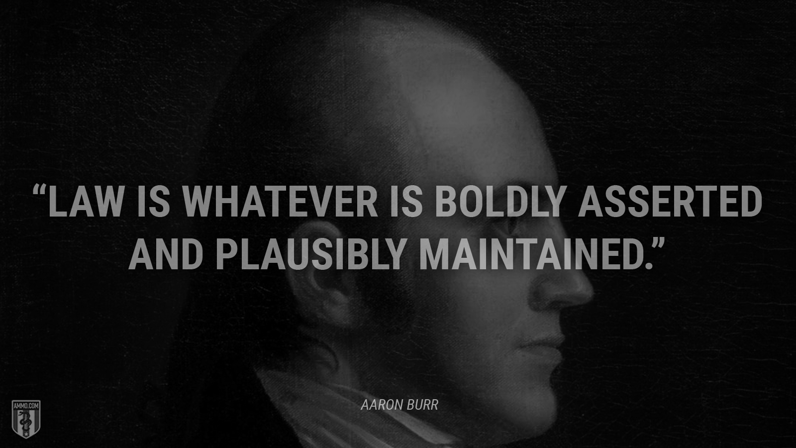 “Law is whatever is boldly asserted and plausibly maintained.” - Aaron Burr