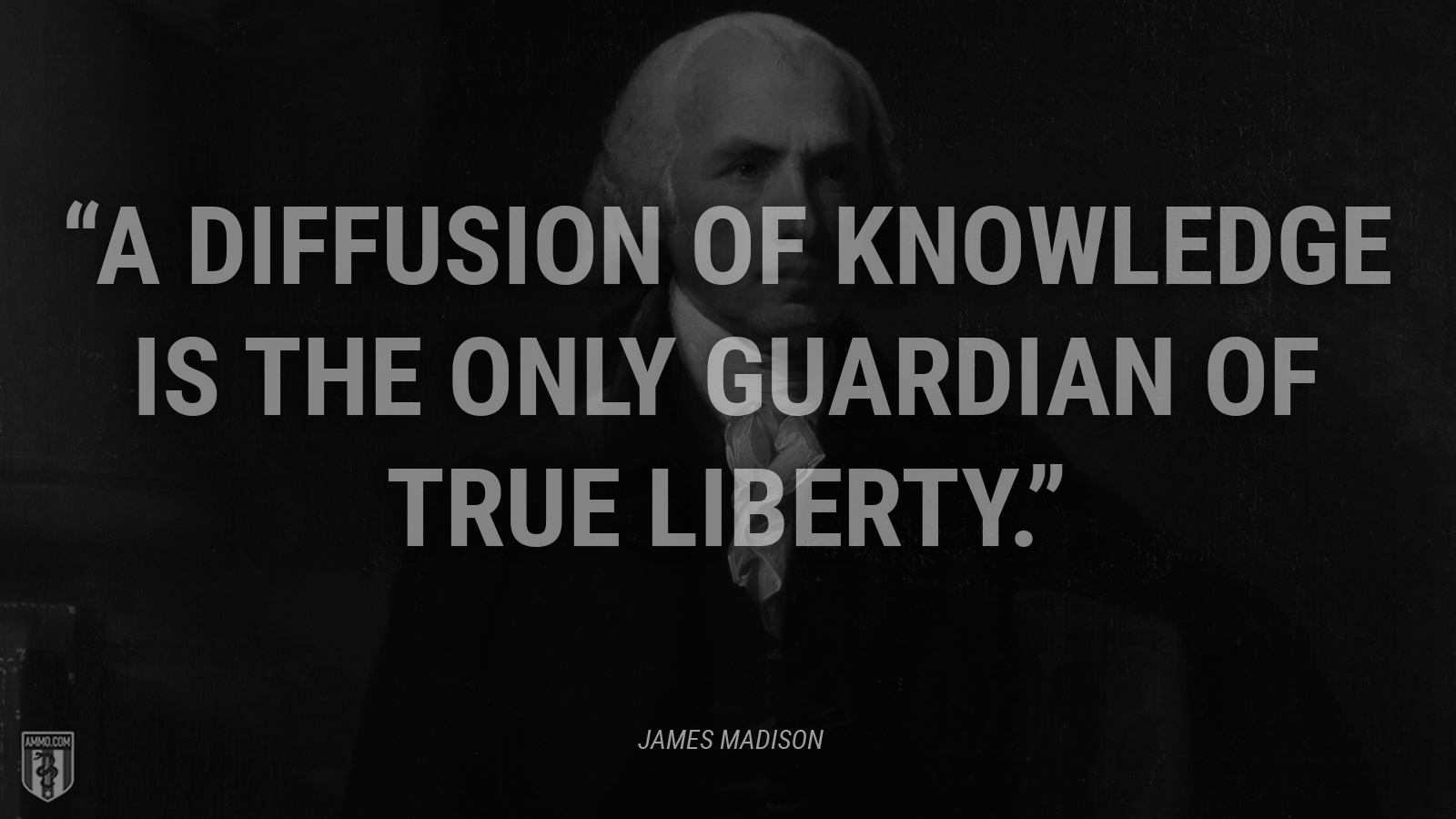 “A diffusion of knowledge is the only guardian of true liberty.” - James Madison