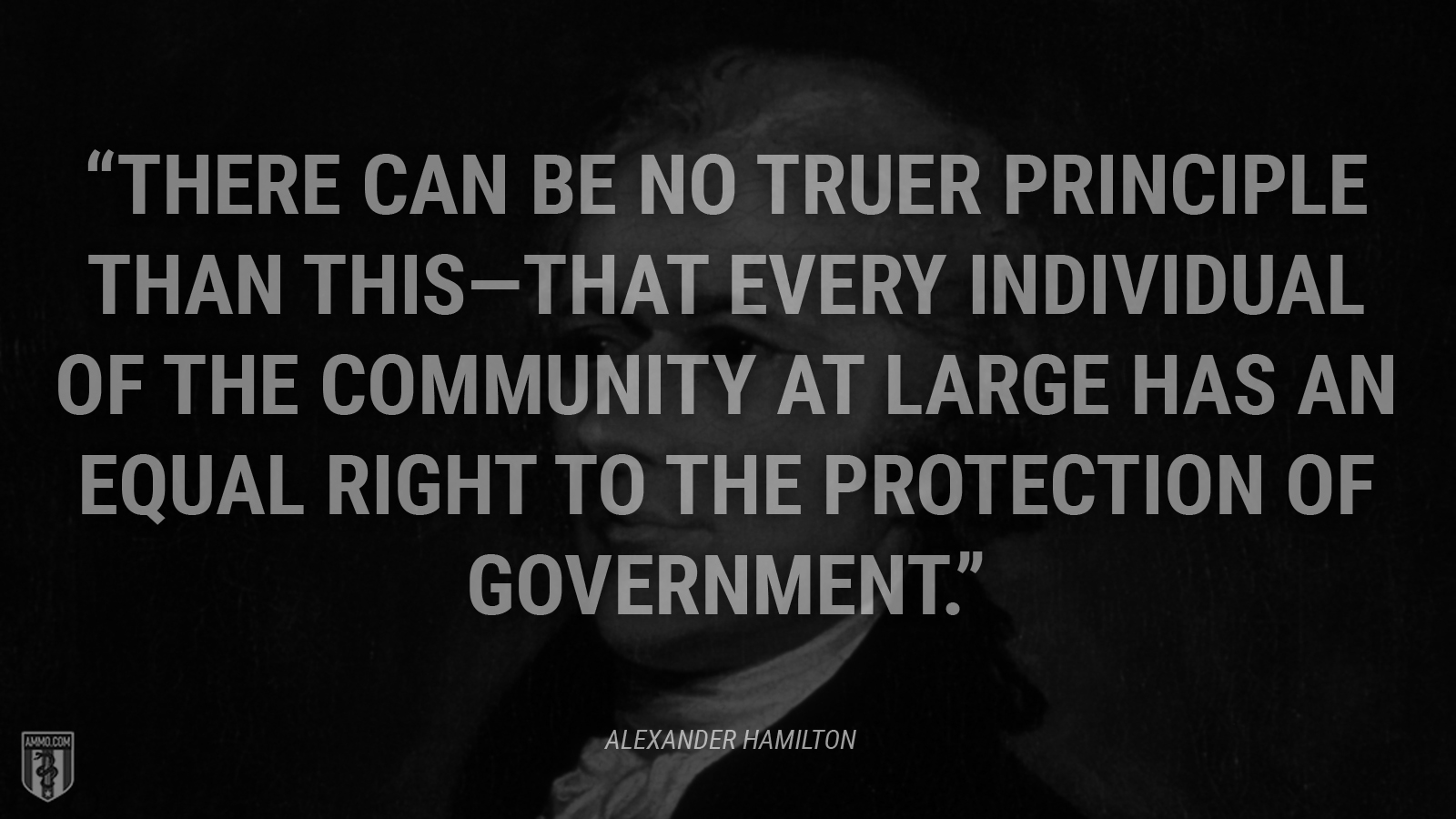 “There can be no truer principle than this—that every individual of the community at large has an equal right to the protection of government.” - Alexander Hamilton