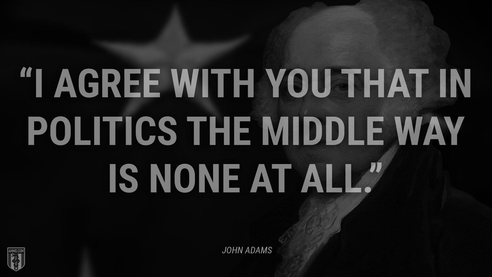 “I agree with you that in politics the middle way is none at all.” - John Adams