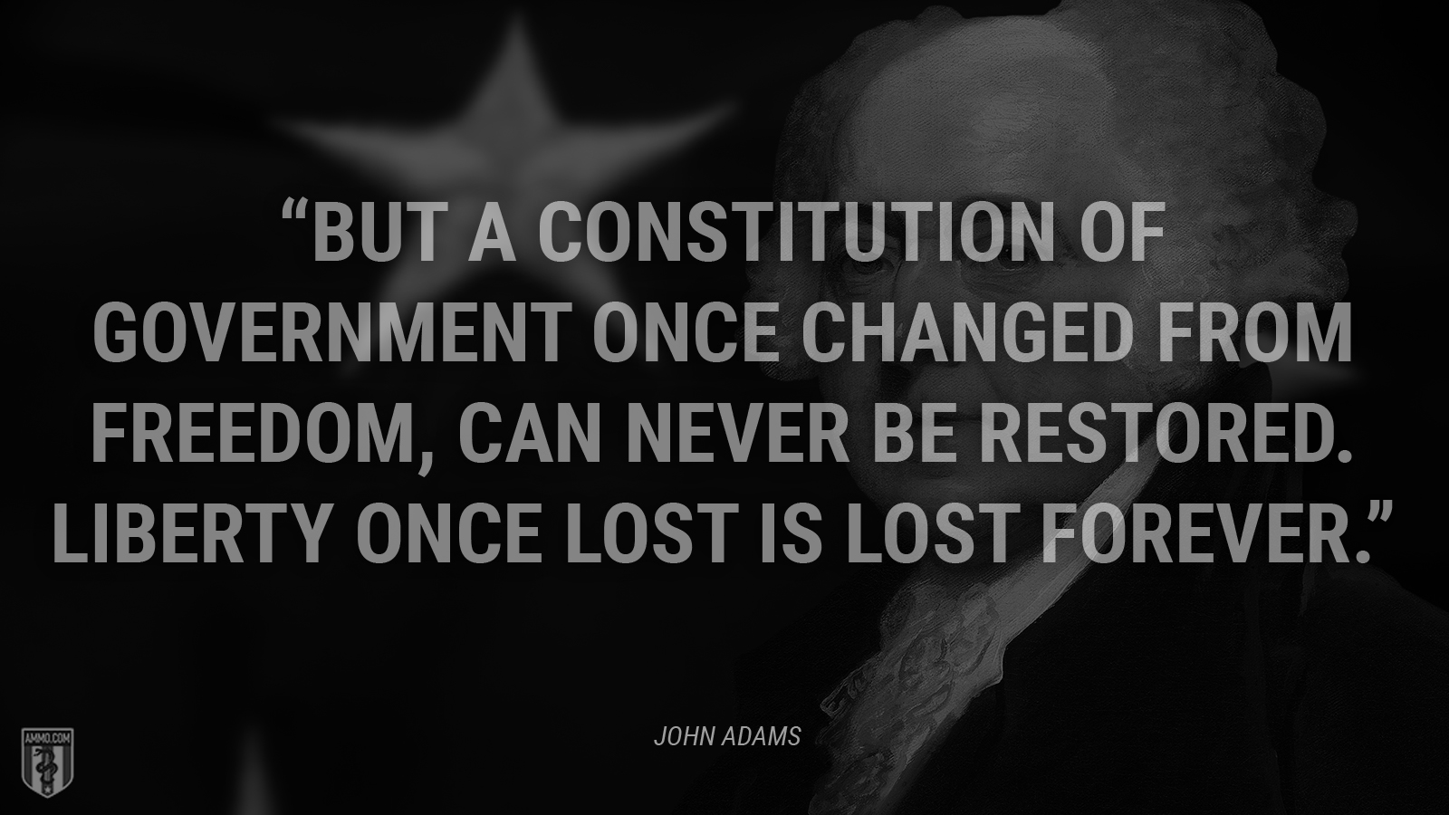 “But a Constitution of Government once changed from Freedom, can never be restored. Liberty once lost is lost forever.” - John Adams