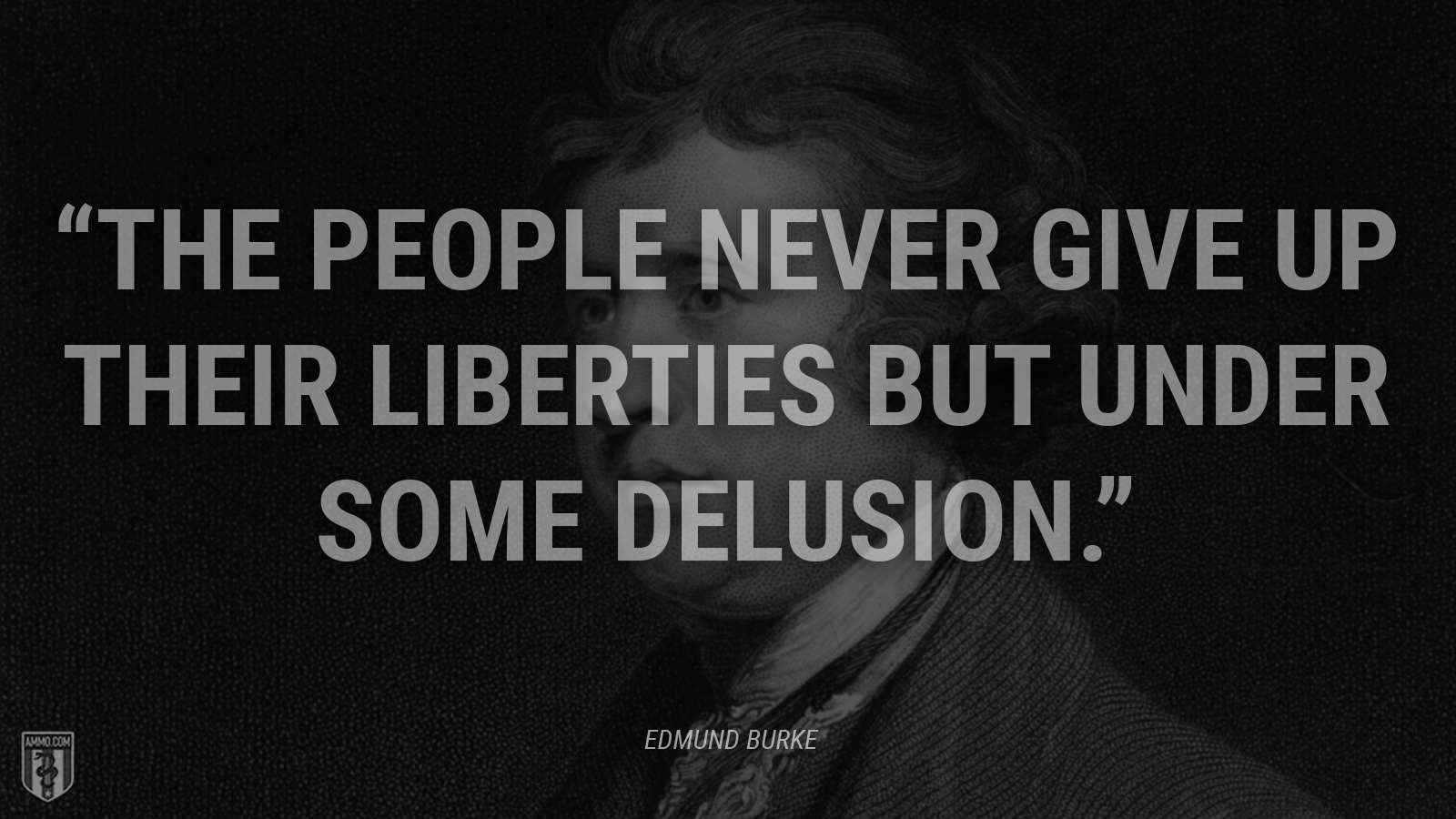 “The people never give up their liberties but under some delusion.” - Edmund Burke