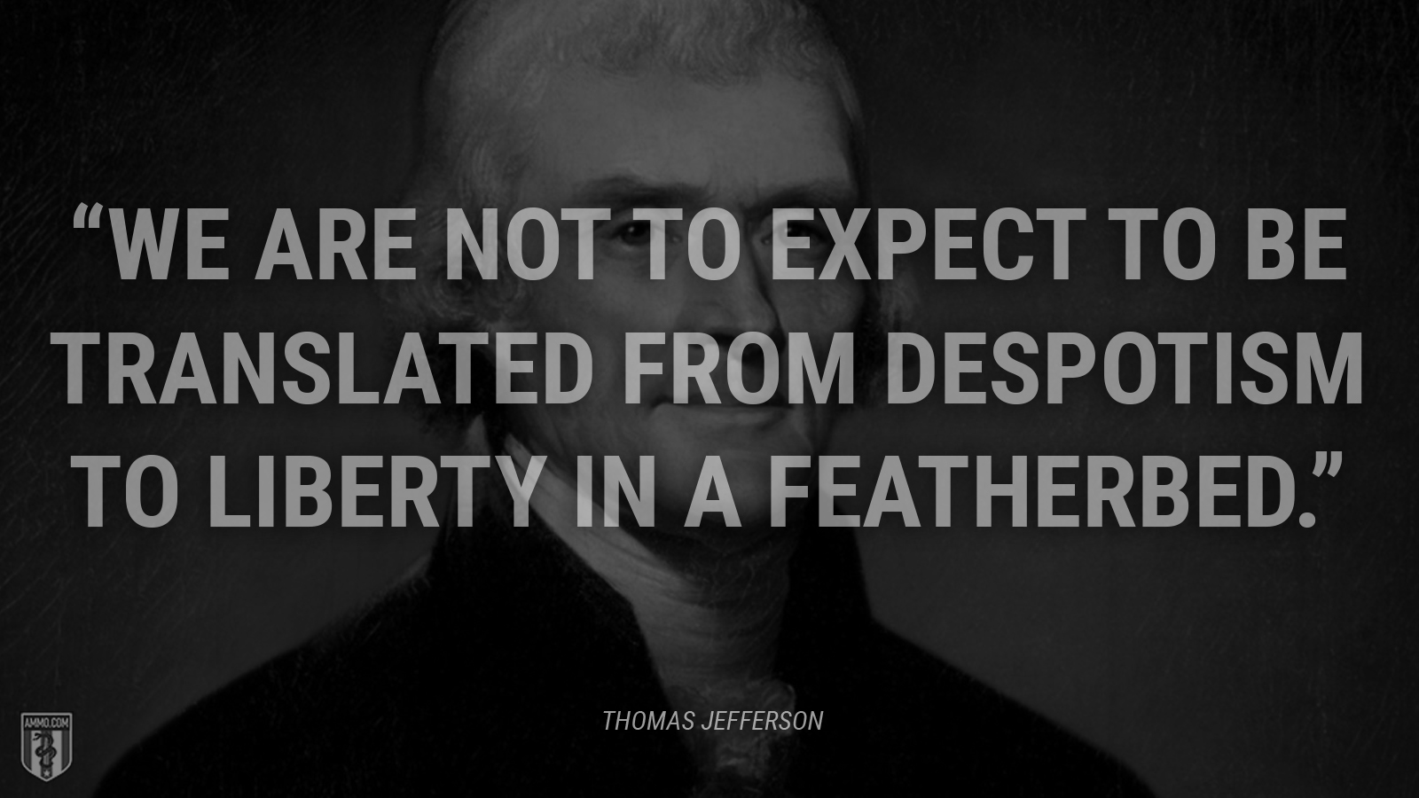 “We are not to expect to be translated from despotism to liberty in a featherbed.” - Thomas Jefferson