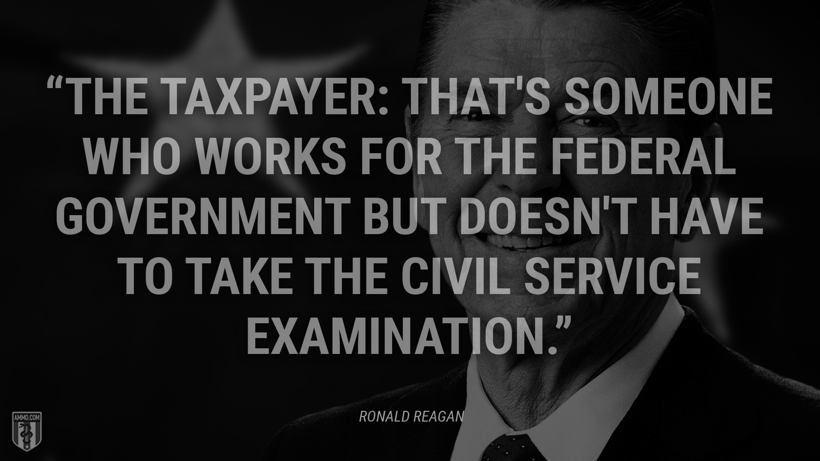 “The taxpayer: That's someone who works for the federal government but doesn't have to take the civil service examination.” - Ronald Reagan