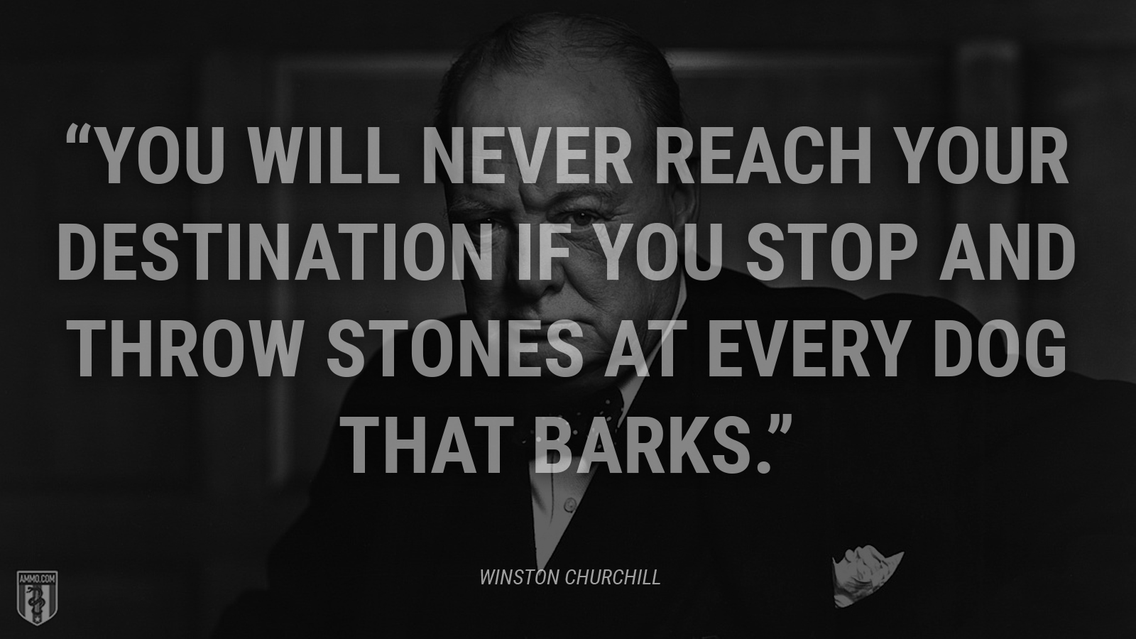 “You will never reach your destination if you stop and throw stones at every dog that barks.” - Winston Churchill