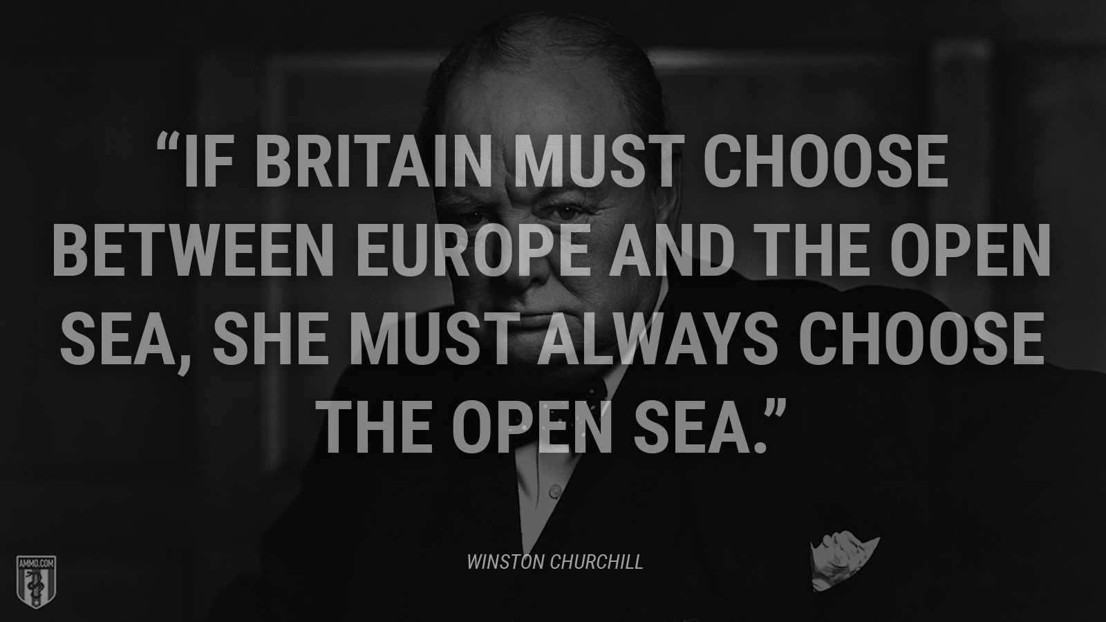“If Britain must choose between Europe and the open sea, she must always choose the open sea.” - Winston Churchill
