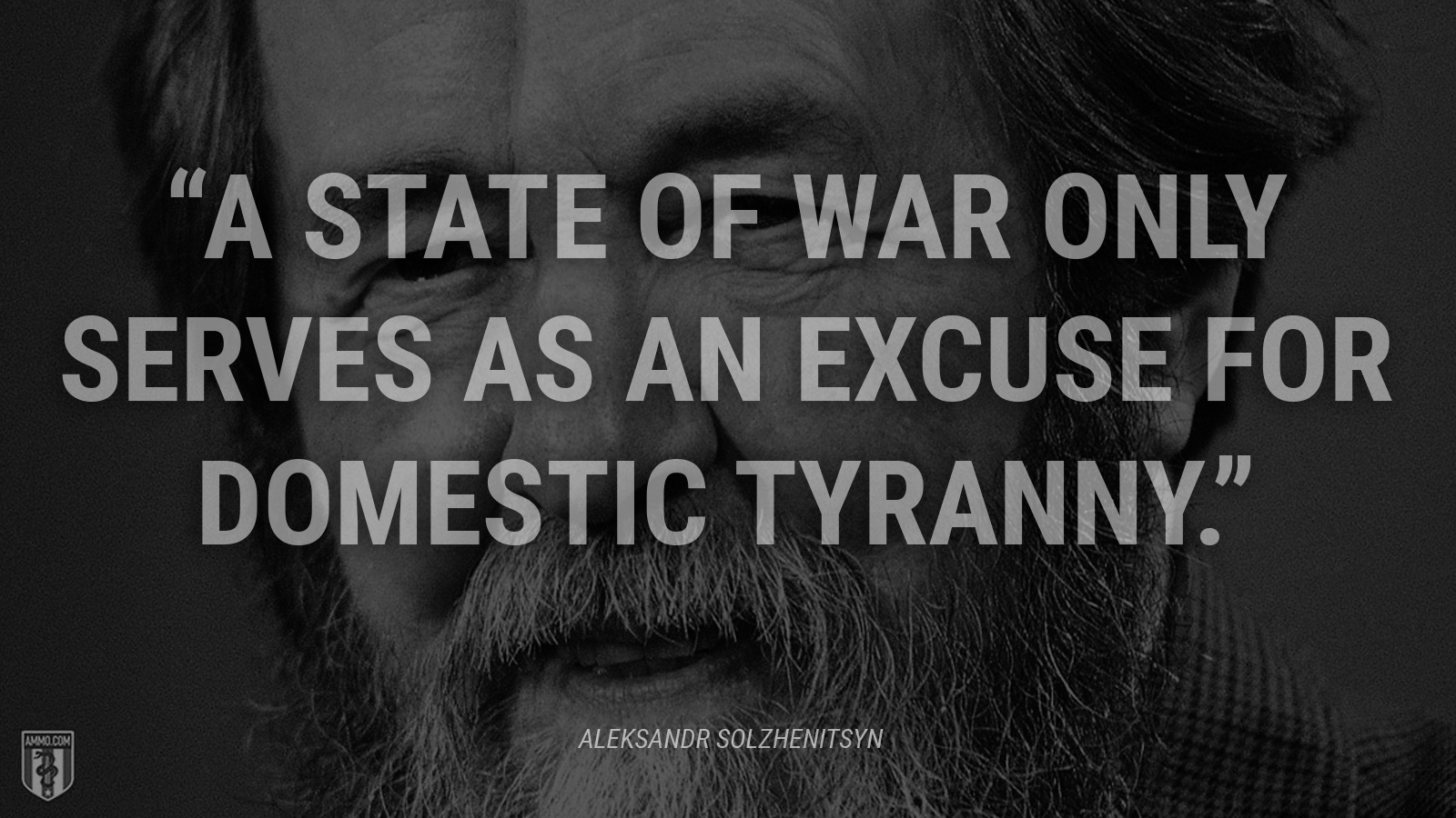 “A state of war only serves as an excuse for domestic tyranny.” - Aleksandr Solzhenitsyn