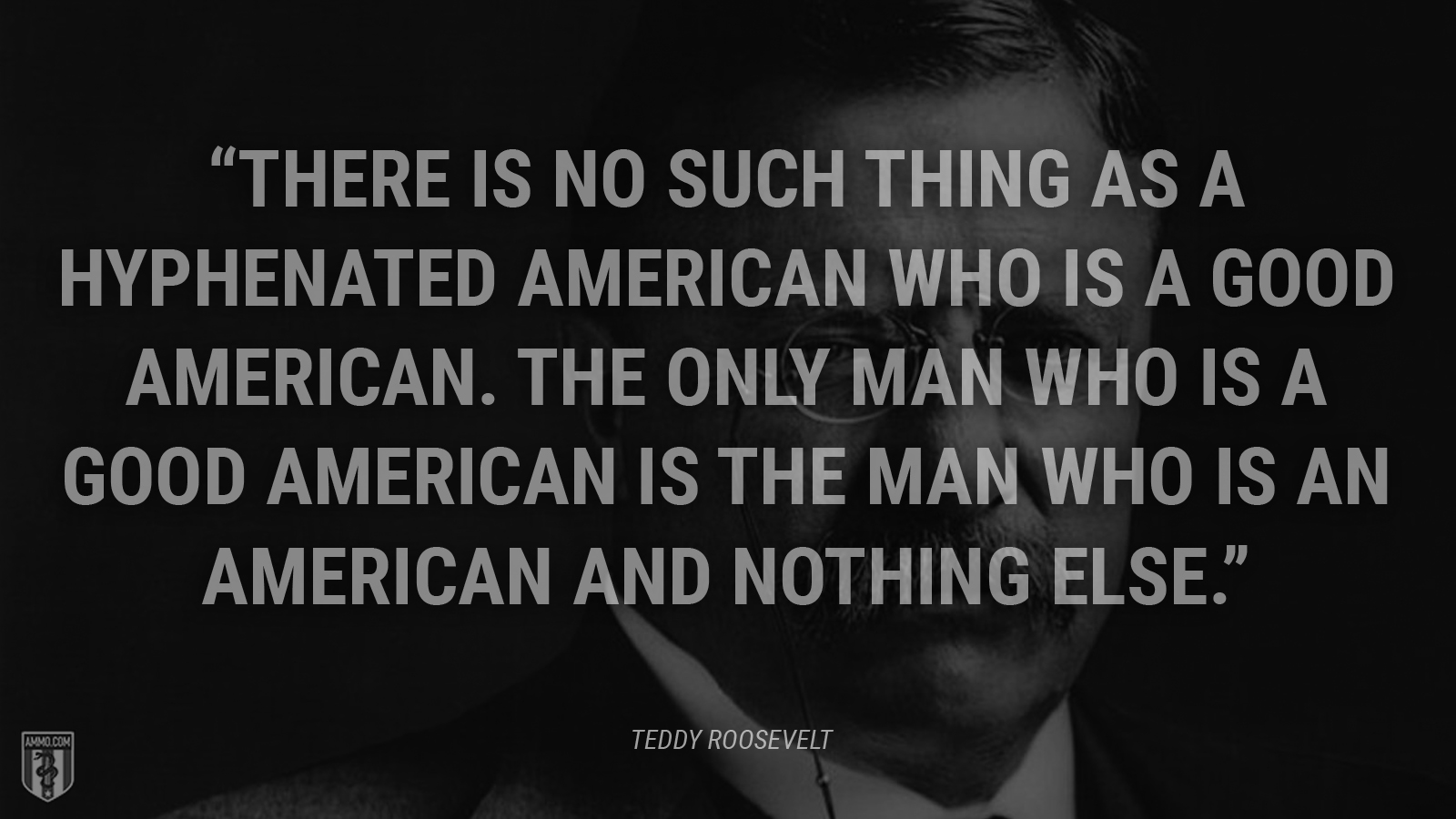 “There is no such thing as a hyphenated American who is a good American. The only man who is a good American is the man who is an American and nothing else.” - Theodore Roosevelt