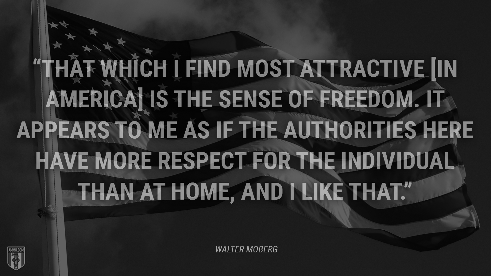 “That which I find most attractive [in America] is the sense of freedom. It appears to me as if the authorities here have more respect for the individual than at home, and I like that.” - Walter Moberg