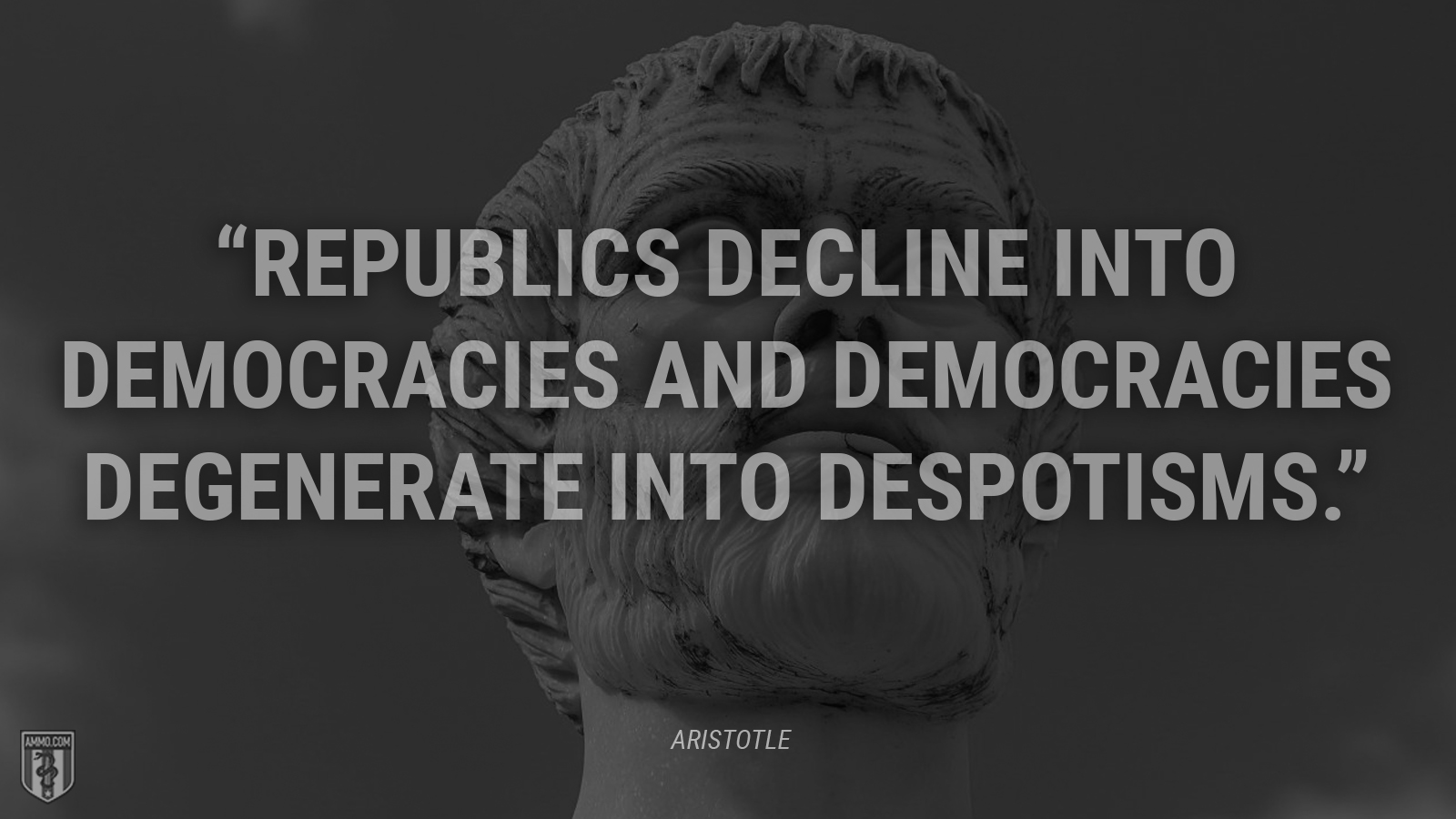 “Republics decline into democracies and democracies degenerate into despotisms.” - Aristotle