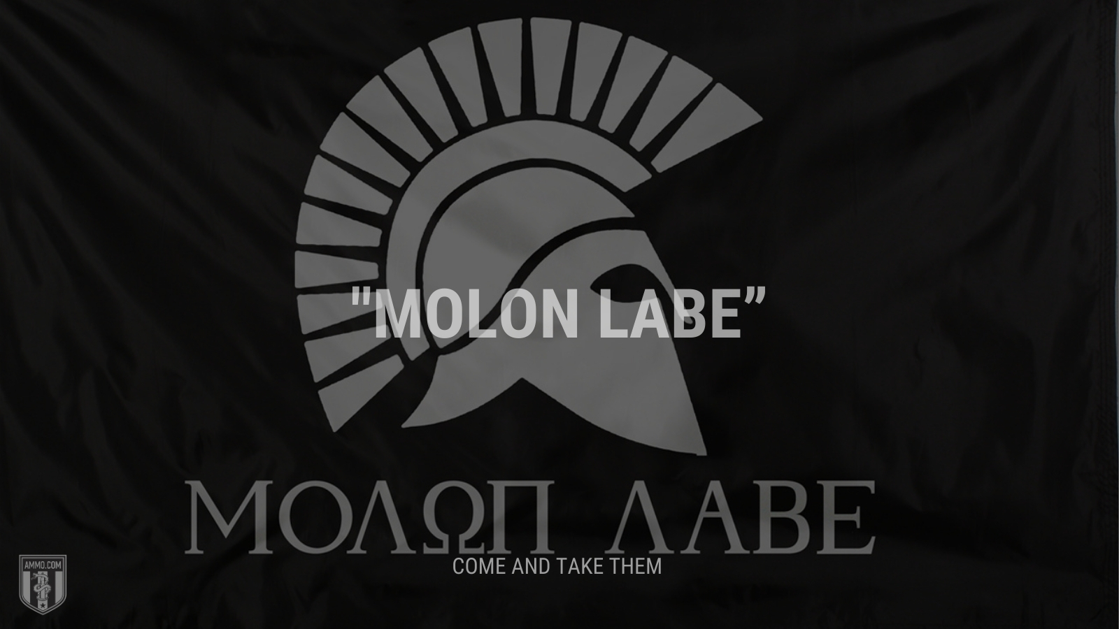 “Molon Labe” - Come and take them