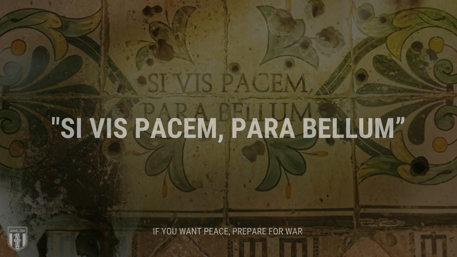 “Si vis pacem, para bellum” - If you want peace, prepare for war