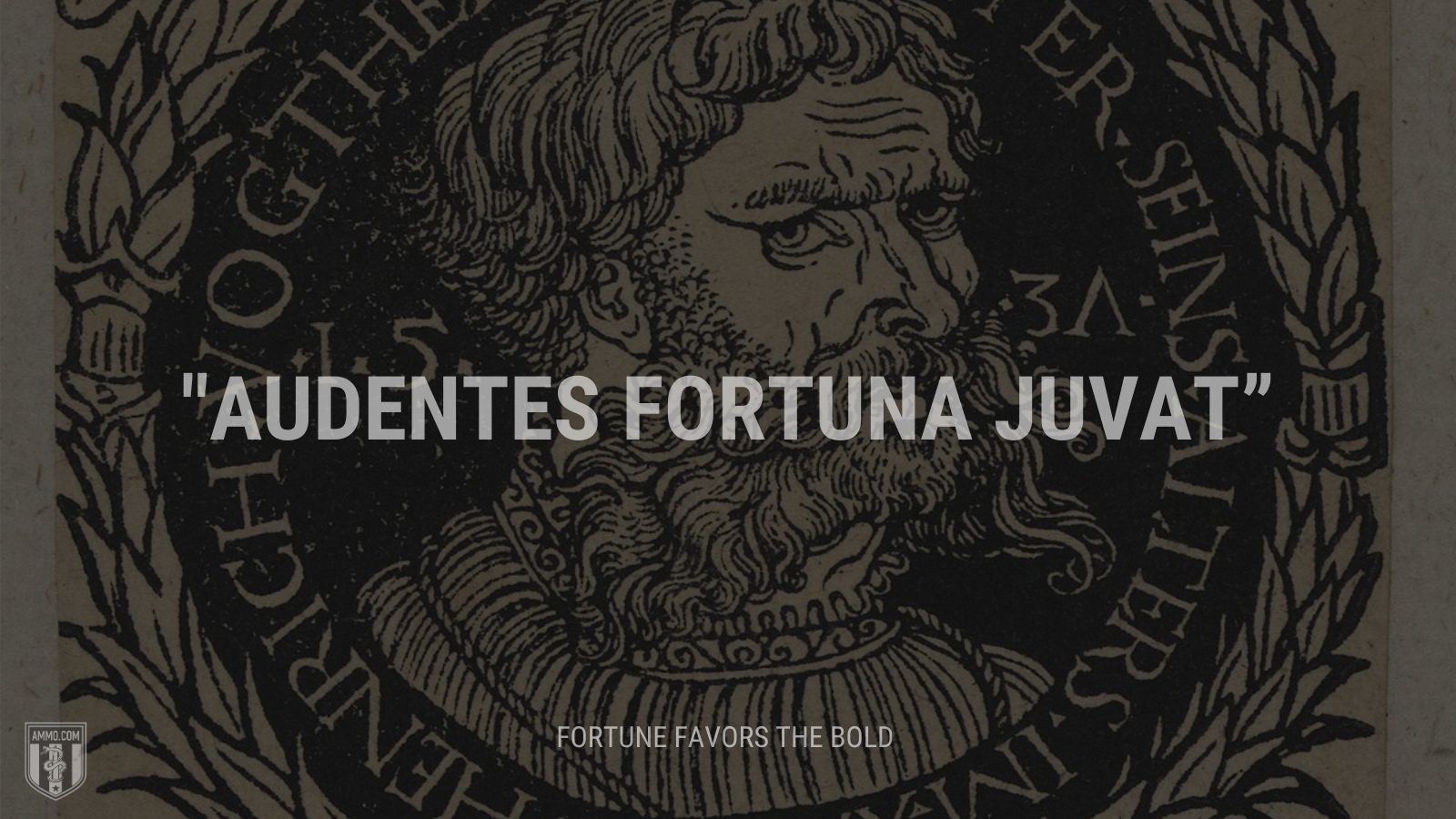 “Audentes fortuna juvat” - Fortune favors the bold