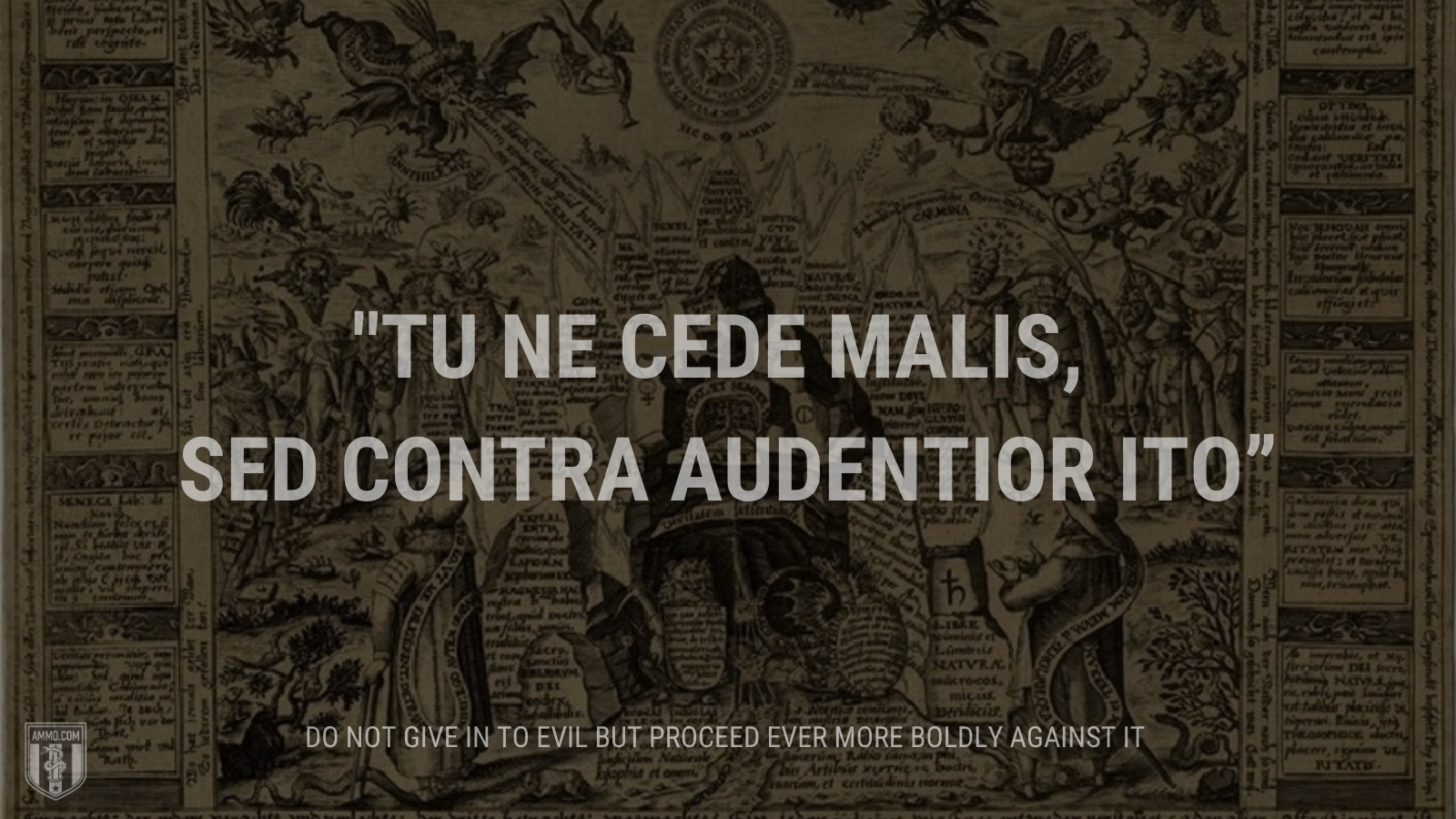 “Tu ne cede malis, sed contra audentior ito” - Do not give in to evil but proceed ever more boldly against it