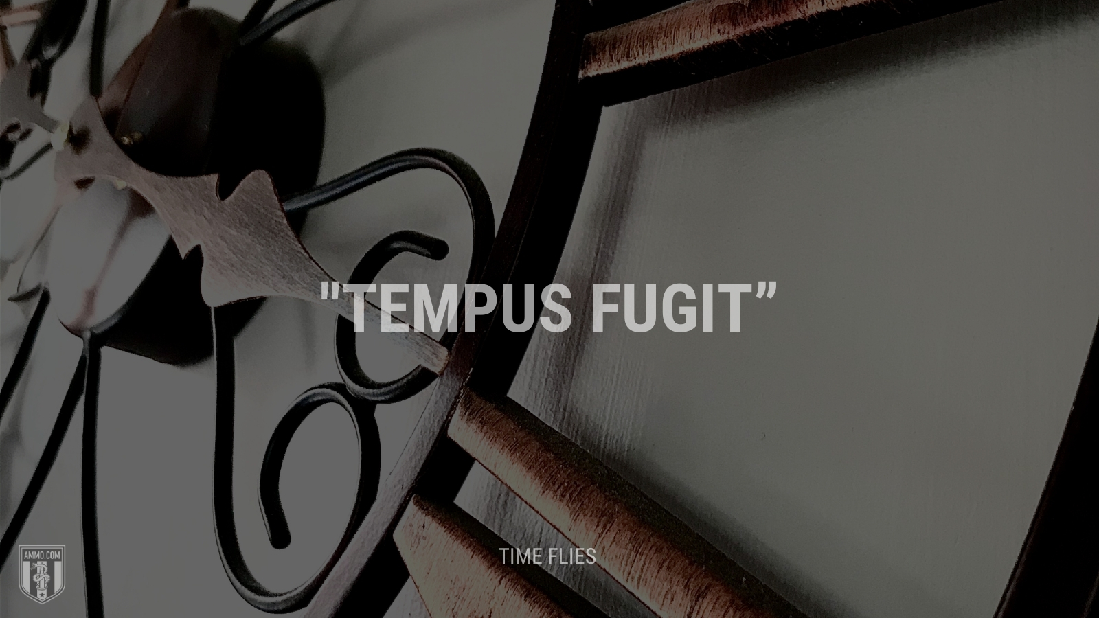 “Tempus fugit” - Time flies