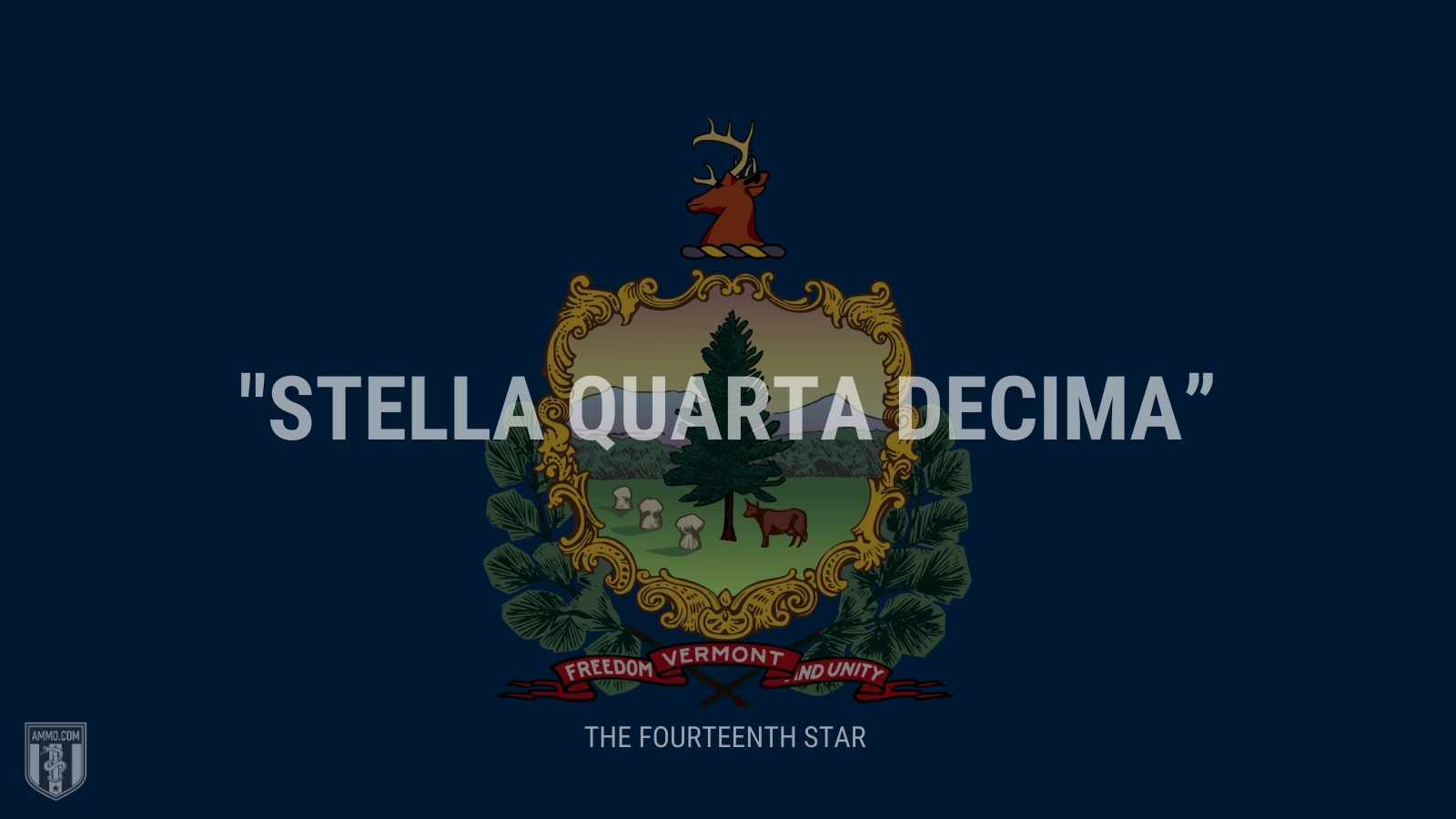 “Stella quarta decima” - The fourteenth star