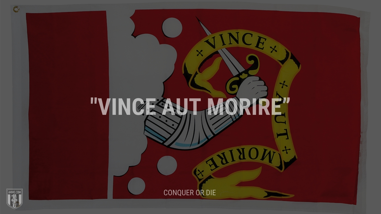 “Vince aut morire” - Conquer or die