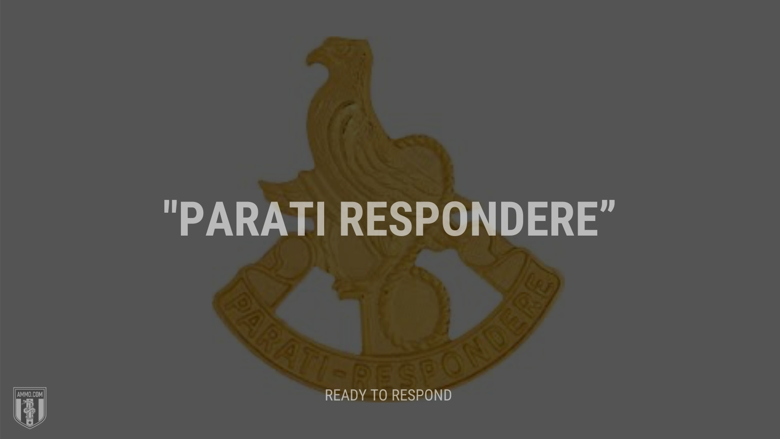 “Parati respondere” - Ready to respond