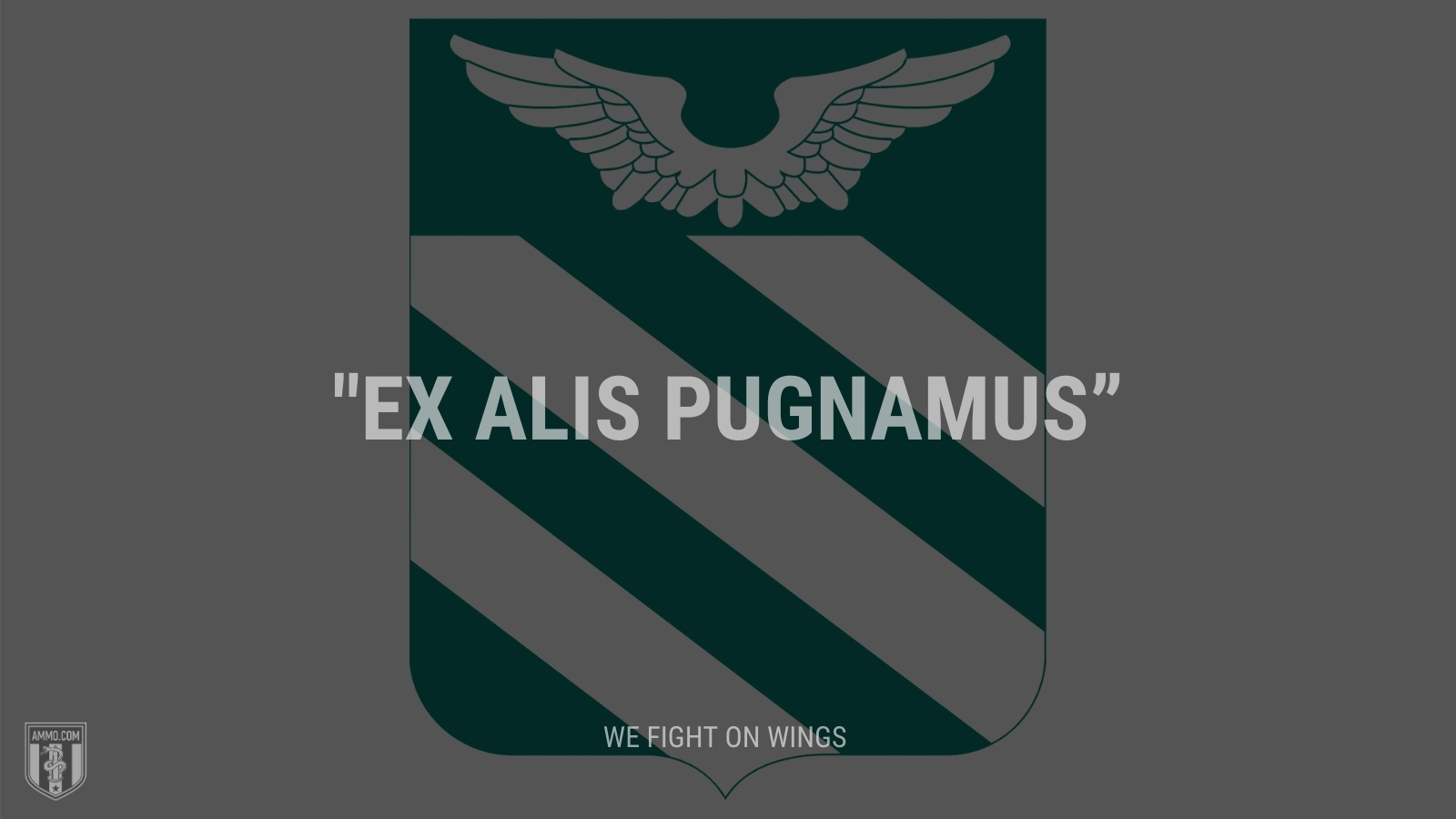 “Ex alis pugnamus” - We fight on wings