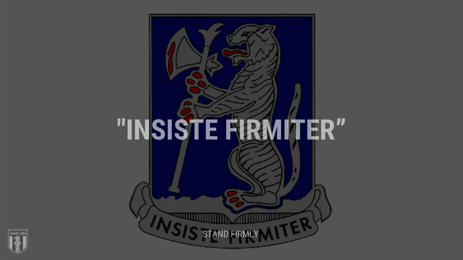 “Insiste firmiter” - Stand firmly