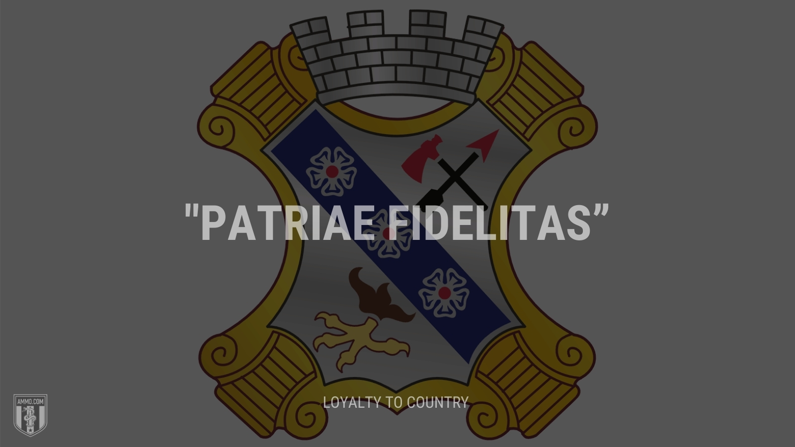 “Patriae fidelitas” - Loyalty to country