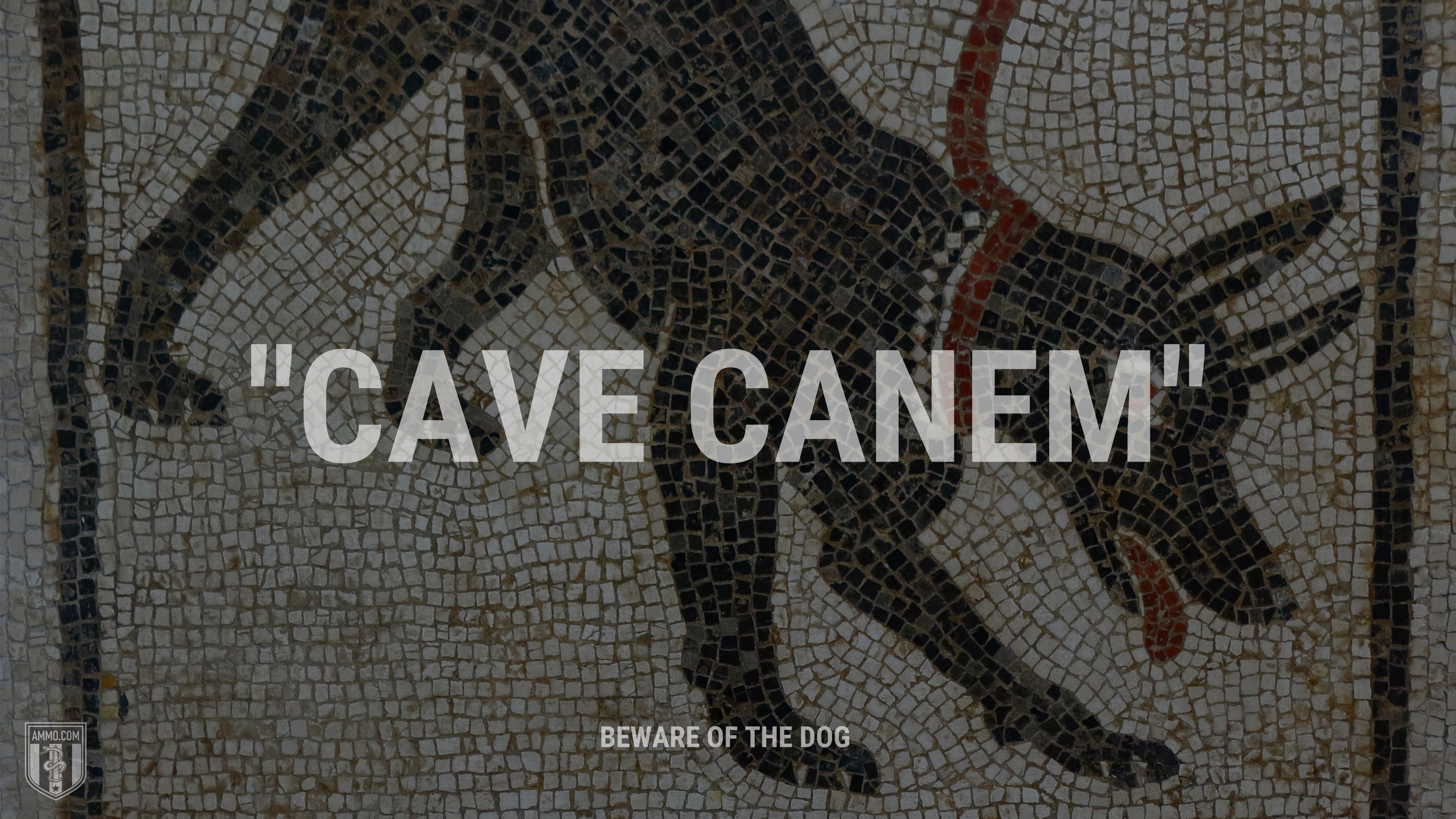 “Cave Canem” - Beware of the dog