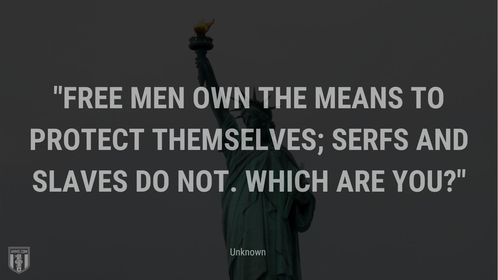 “Free men own the means to protect themselves; serfs and slaves do not. Which are you?” - Unknown
