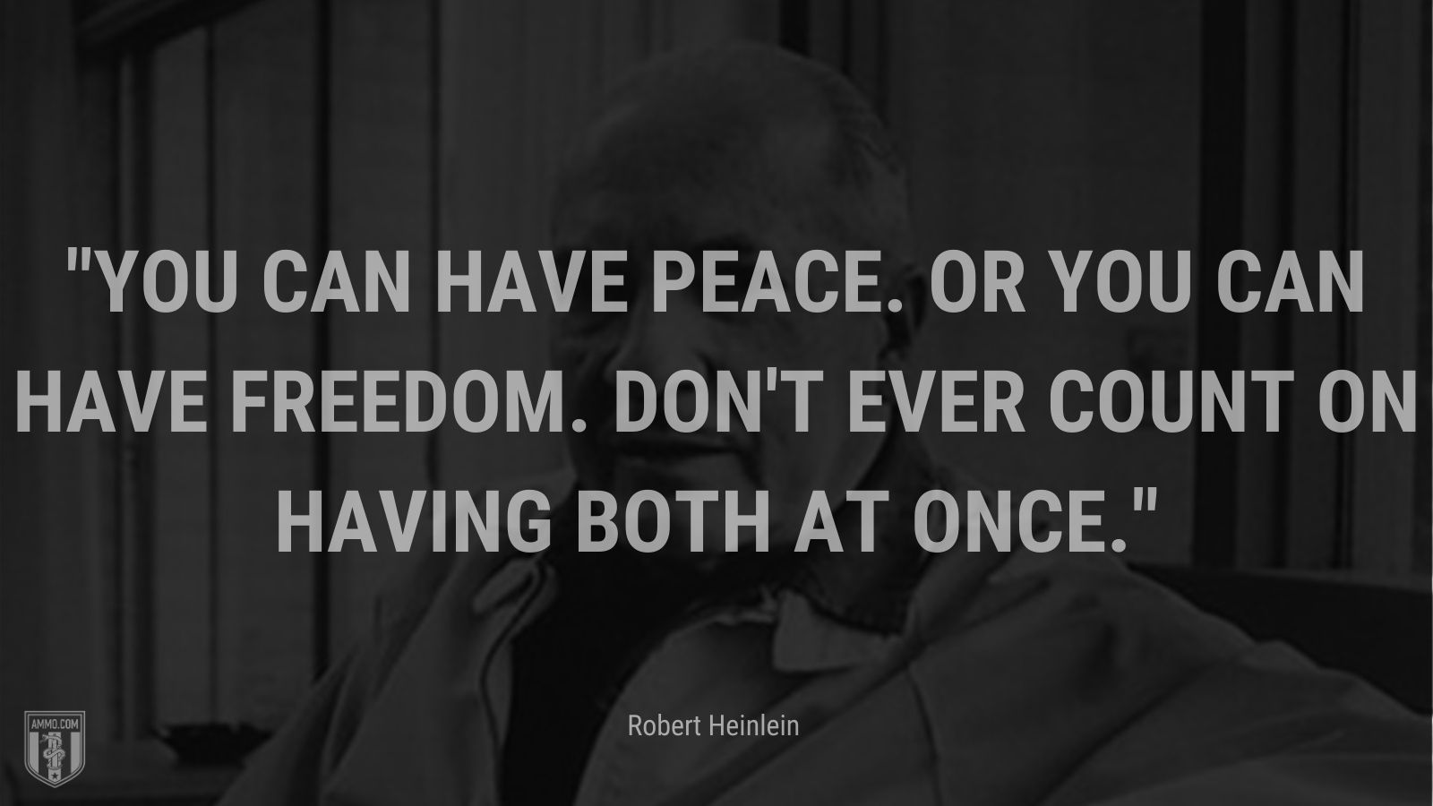 “You can have peace. Or you can have freedom. Don't ever count on having both at once. - Robert Heinlein