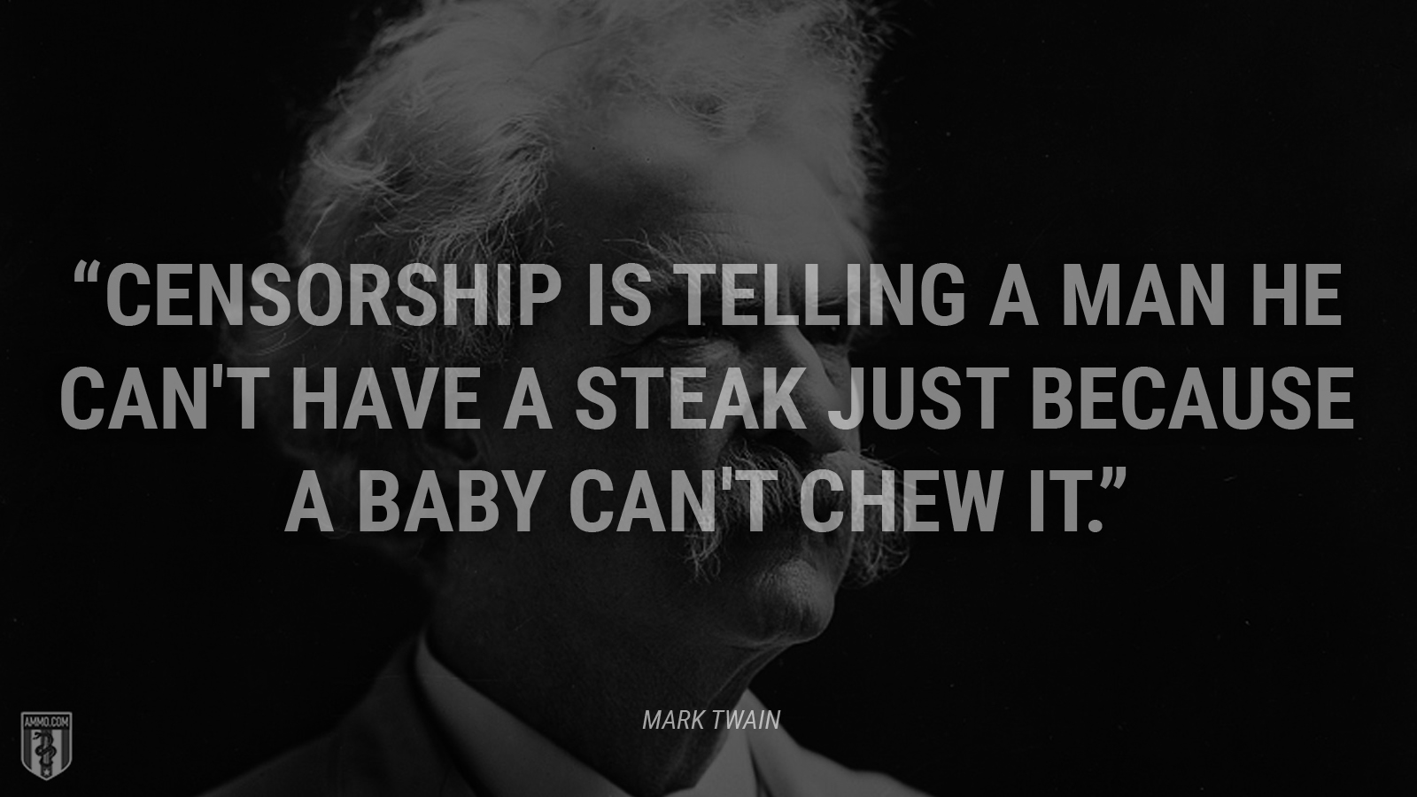 “Censorship is telling a man he can't have a steak just because a baby can't chew it.” - Mark Twain