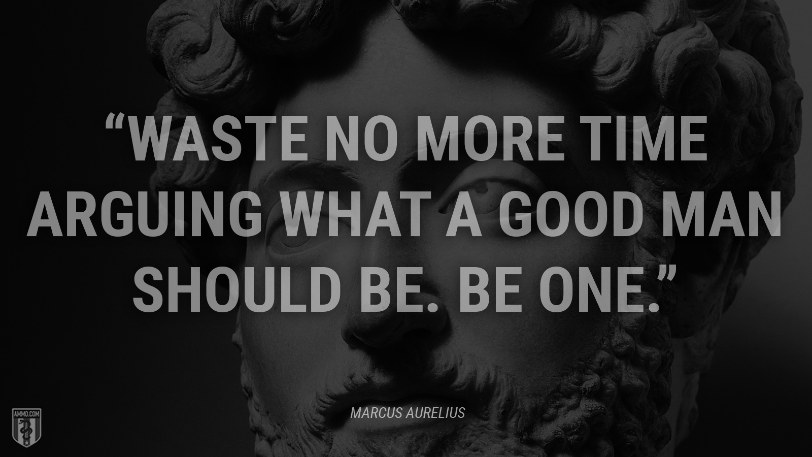 “Waste no more time arguing what a good man should be. Be one.” - Marcus Aurelius