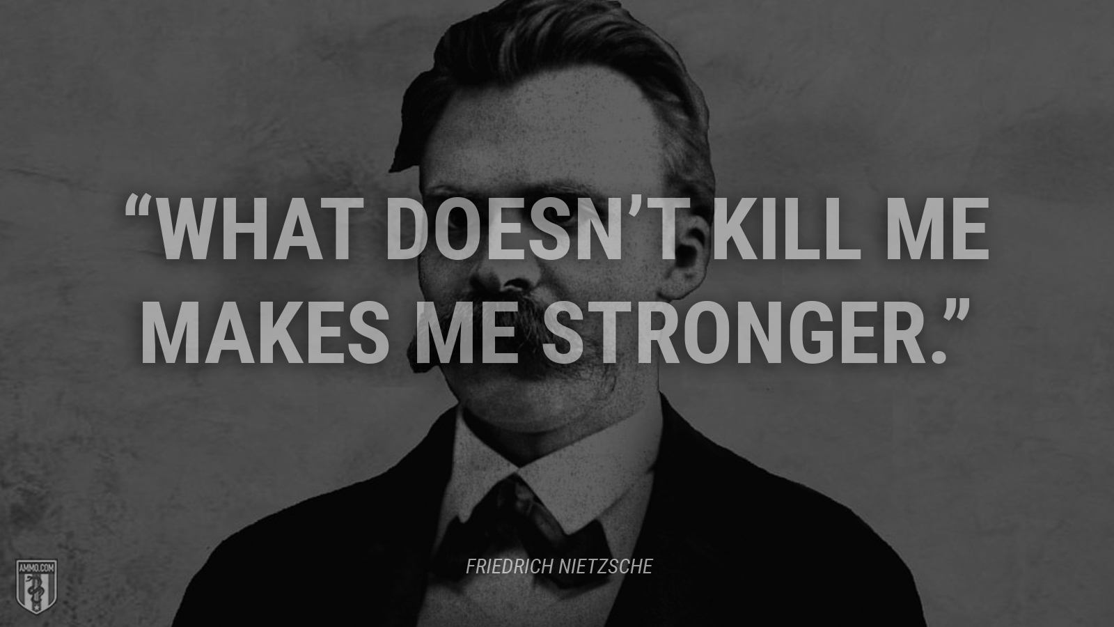 “What doesn’t kill me makes me stronger.” - Friedrich Nietzsche