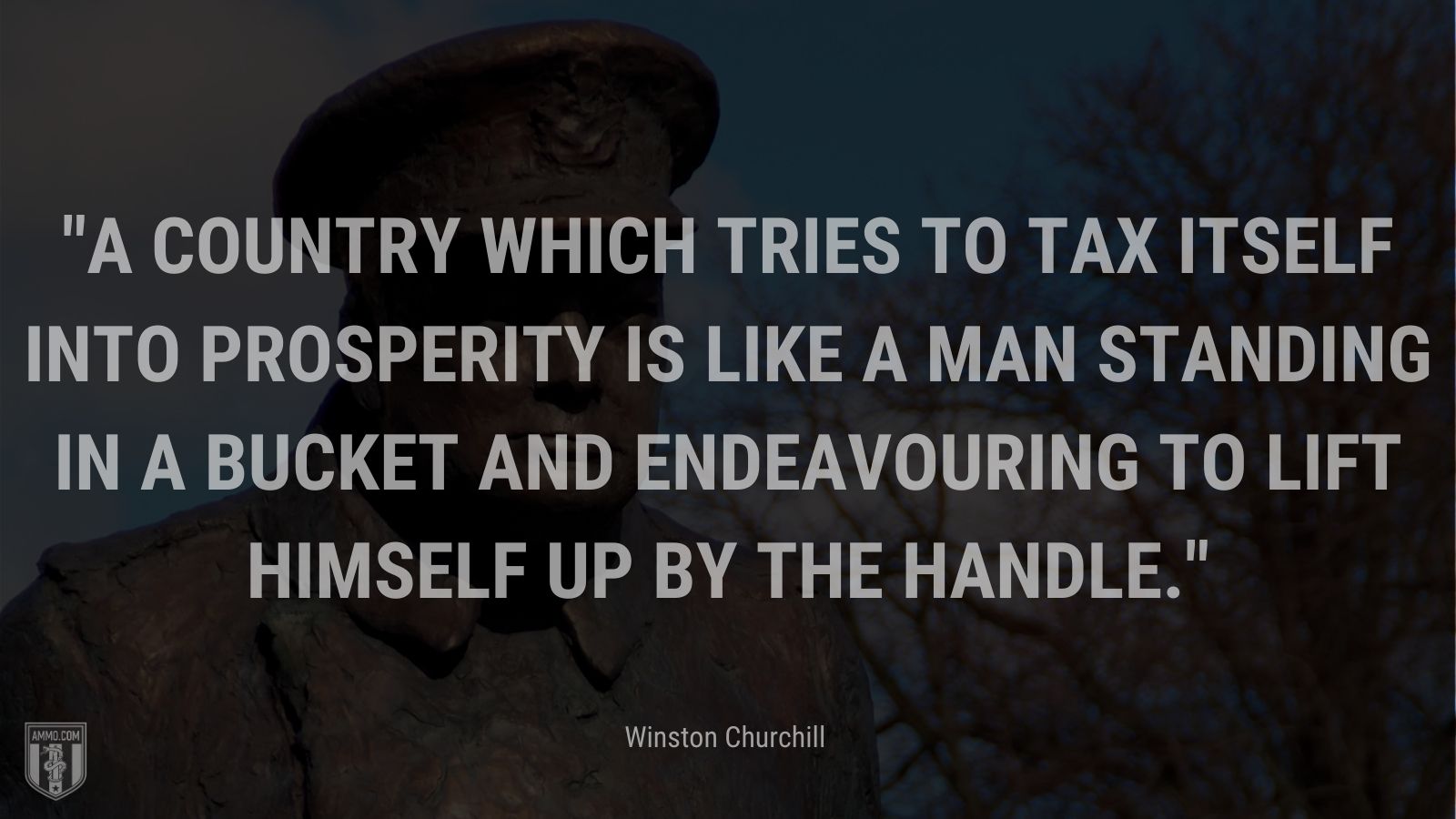 A country which tries to tax itself into prosperity is like a man standing in a bucket and endeavouring to lift himself up by the handle.