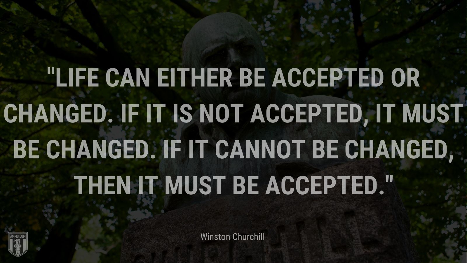 Life can either be accepted or changed. If it is not accepted, it must be changed. If it cannot be changed, then it must be accepted.
