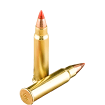 17 HMR Ammo icon