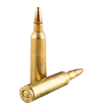 22-250 Ammo icon