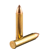 22 WMR Ammo icon