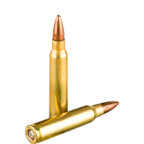 222 Ammo icon