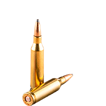 243 Ammo icon