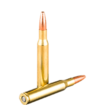 270 Ammo icon