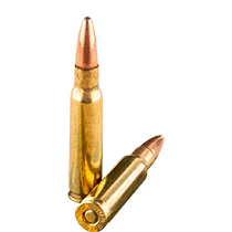 308 Winchester Ammo icon