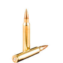 6.8 SPC Ammo 6.8 SPC Ammo icon