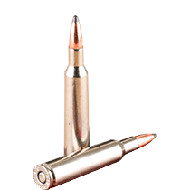 6mm Remington Ammo icon