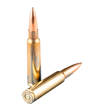 7.5x55mm Swiss Ammo icon